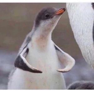 Meet your Posher, Jaclyn